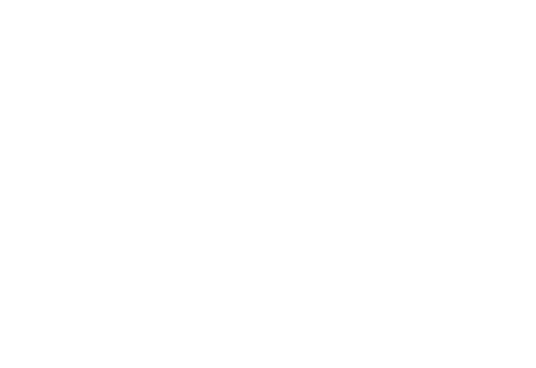 CJ Mediaservice